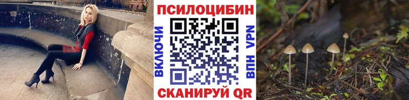 где продают наркотики  Макушино  сайты даркнета телеграм  Галлюциногенные грибы Cubensis 